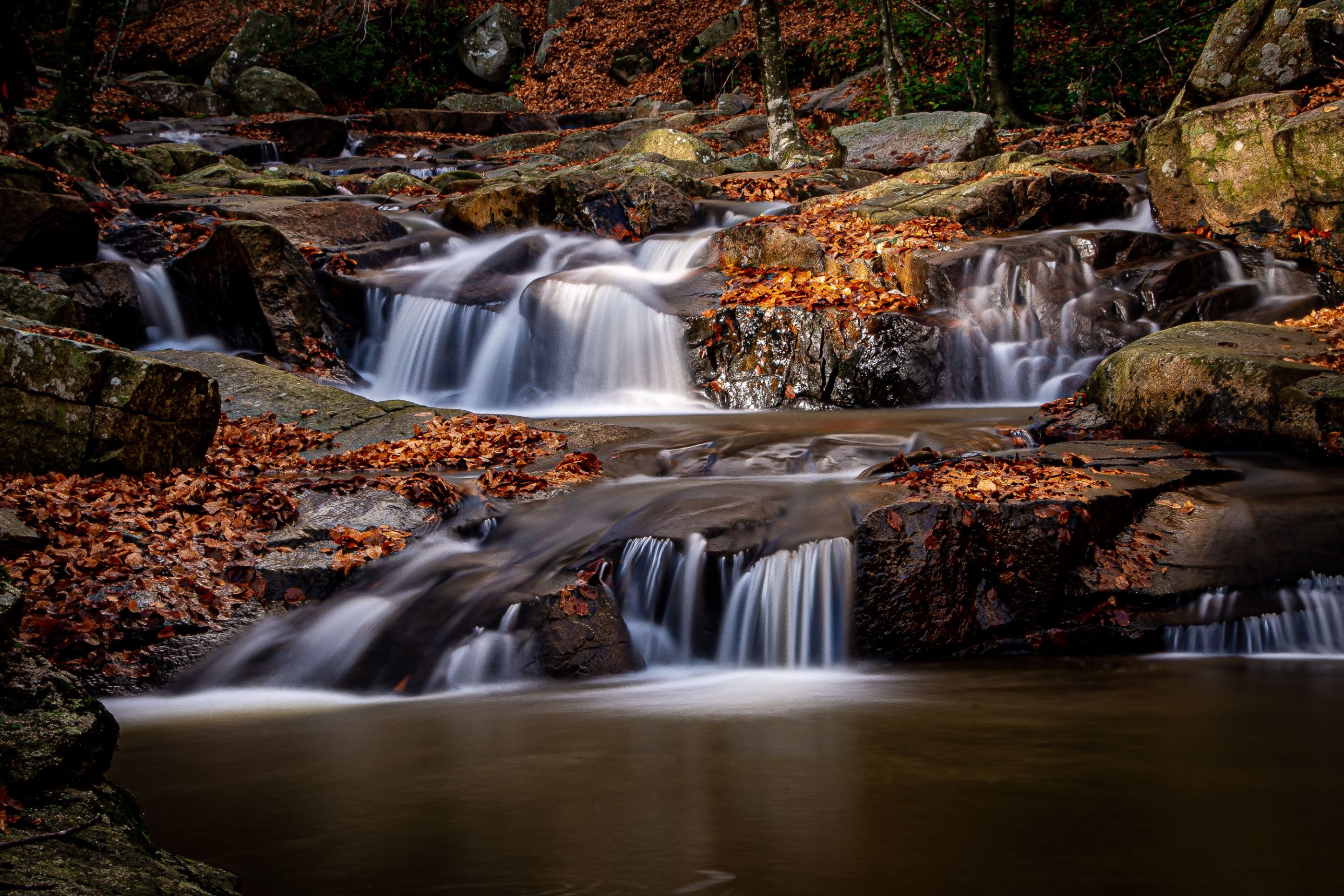 MONTSENY  DE COLORS  11-2020-1921